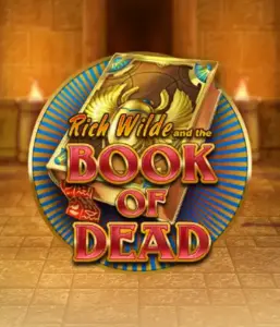 Embark on the thrilling world of Book of Dead Slot by Play'n GO, showcasing vivid graphics of Rich Wilde’s adventurous journey through ancient Egyptian tombs and artifacts. Find lost riches with engaging mechanics like free spins, expanding symbols, and a gamble option. Ideal for adventure enthusiasts with a desire for thrilling discoveries.